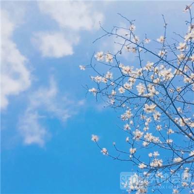手游剑道逍遥折扣服下载